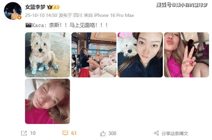 国女篮国手, 球队大巴已 国女篮国手, 球队大巴已